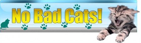 No More Bad Cats!!